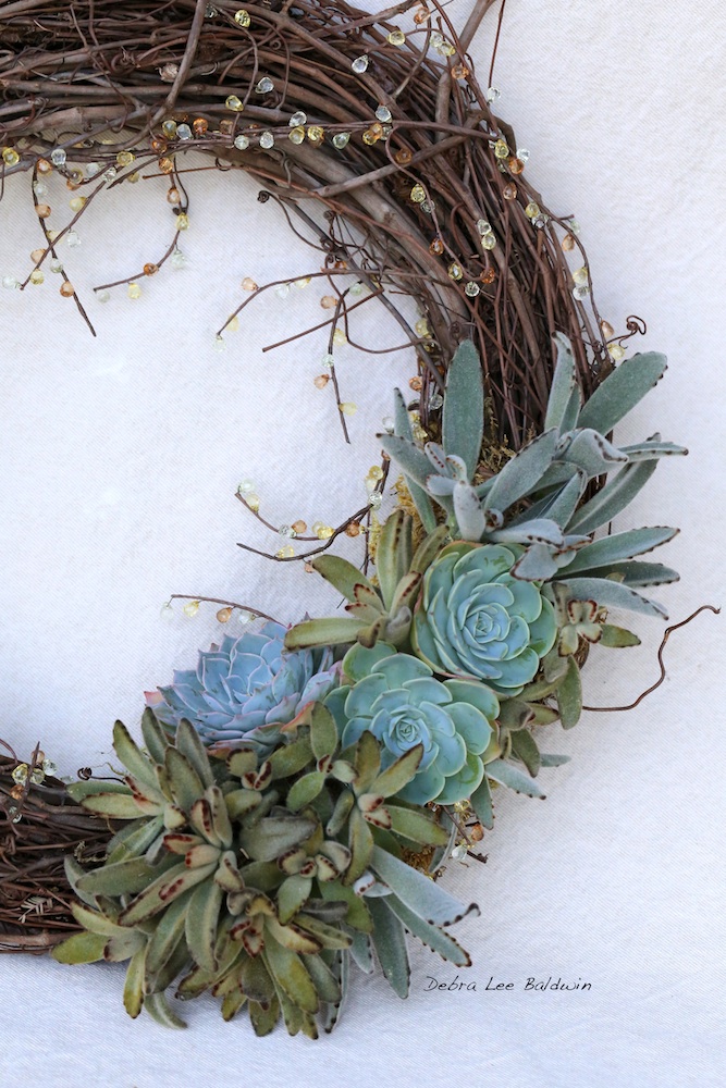 Succulent Wreath Tips and Ideas