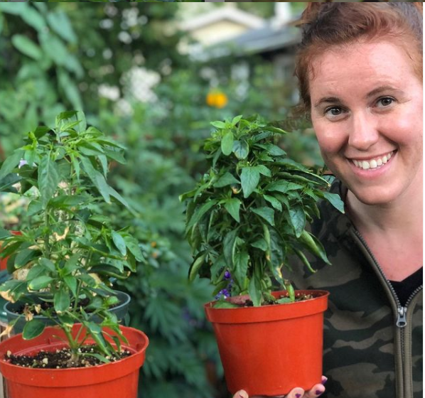 How To Start A Container Vegetable Garden In Canada And Cold Climates