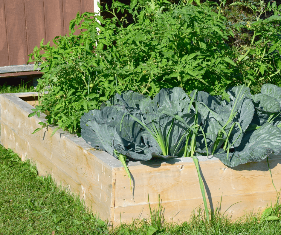 How Deep Should A Raised Garden Bed Be? Gardening is Great