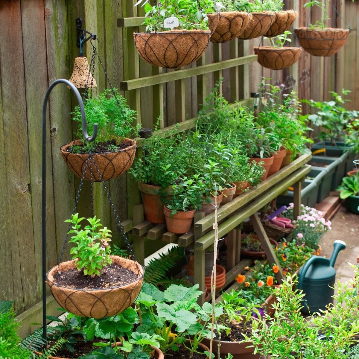 How to Start a Container Garden for Beginners Ultimate Gardening Guide