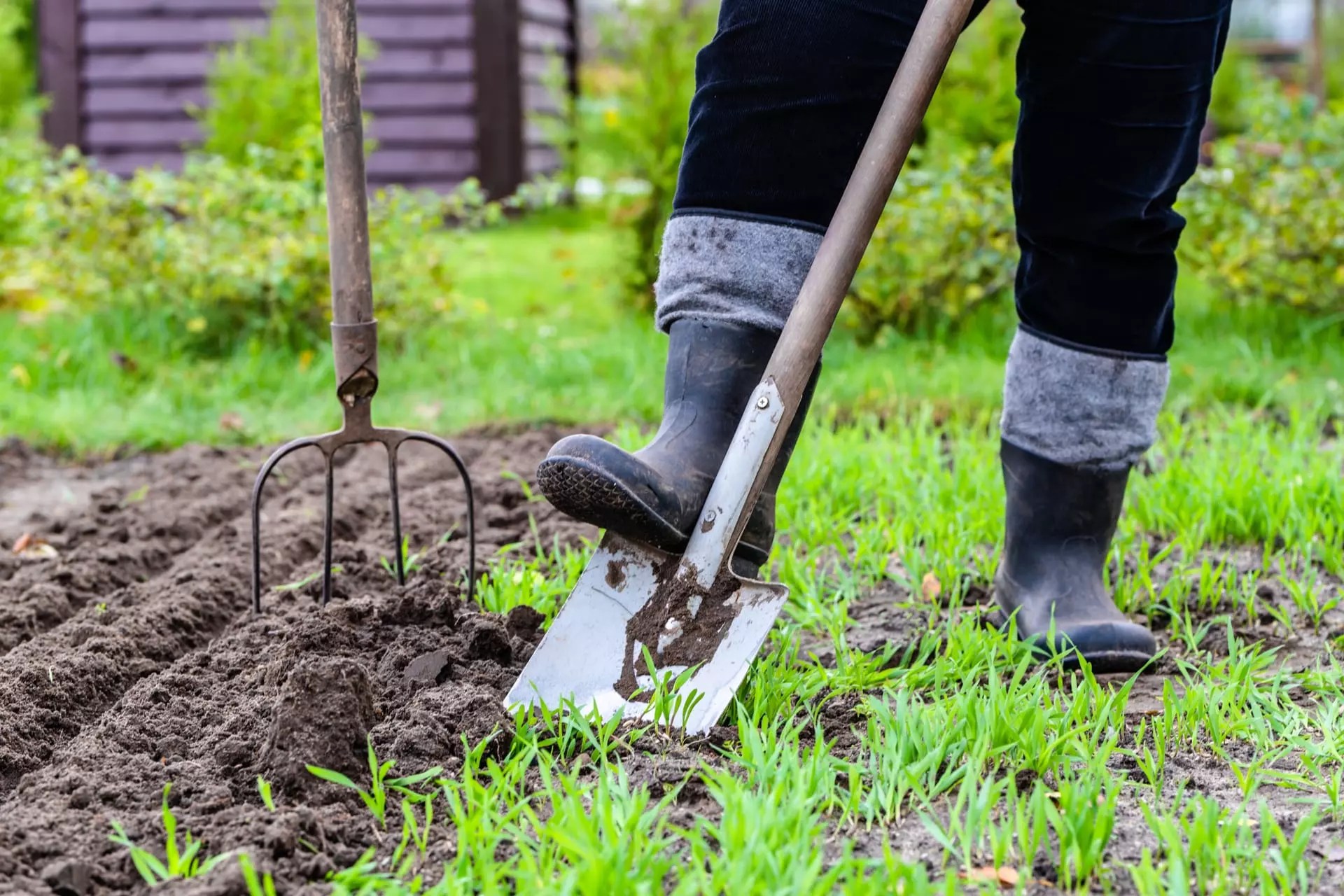 How to Amend Clay Soil Guide & Tips to Improve Clay Soil