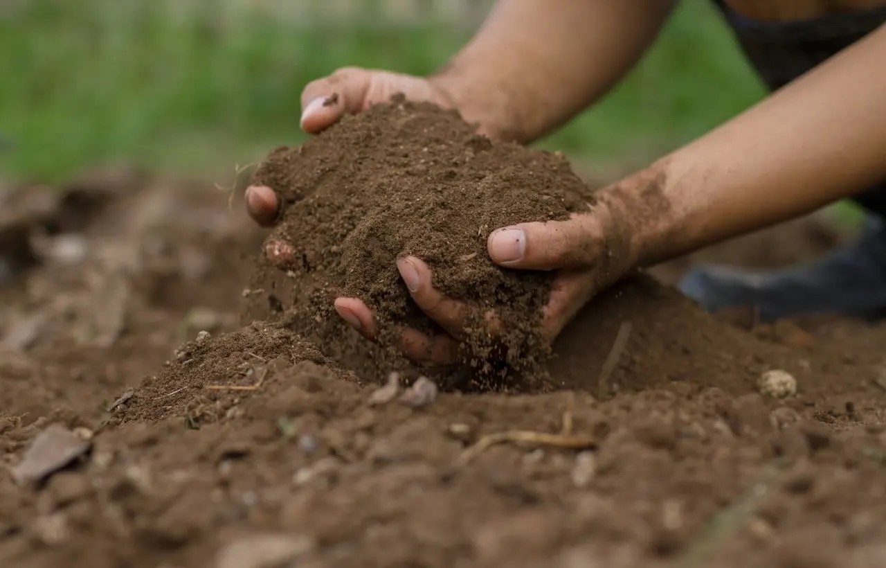 Prepare Soil for Garden Essential Steps & Techniques Gardening's Core