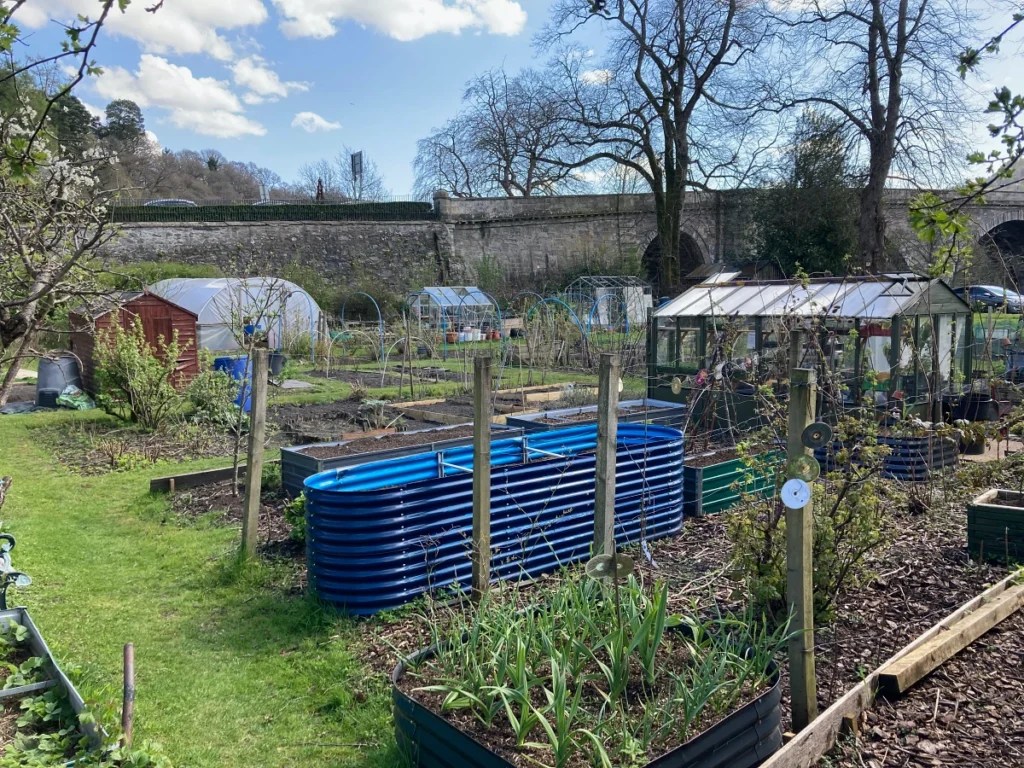 different types of raised beds