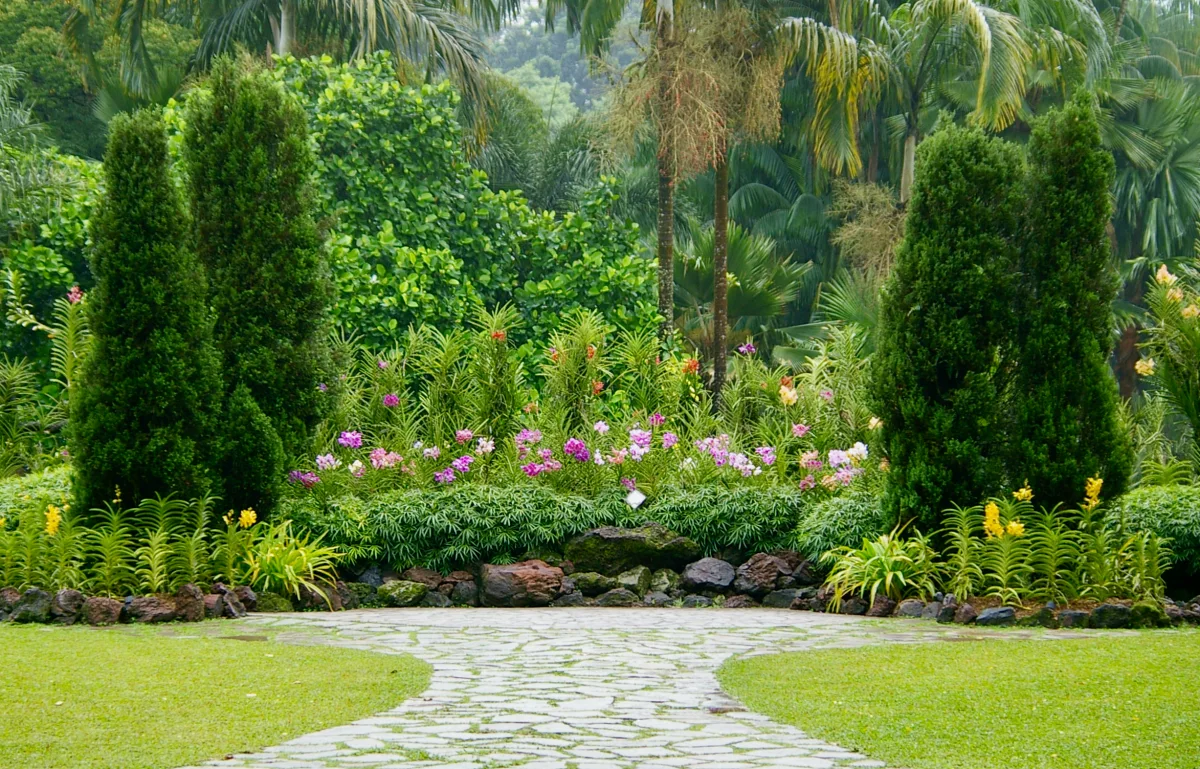 Tropical garden