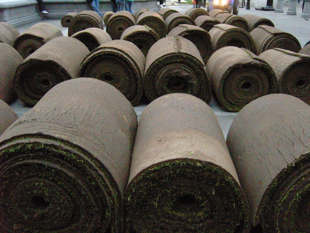 turf