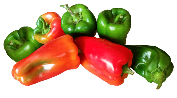 Storage of Bell Peppers.