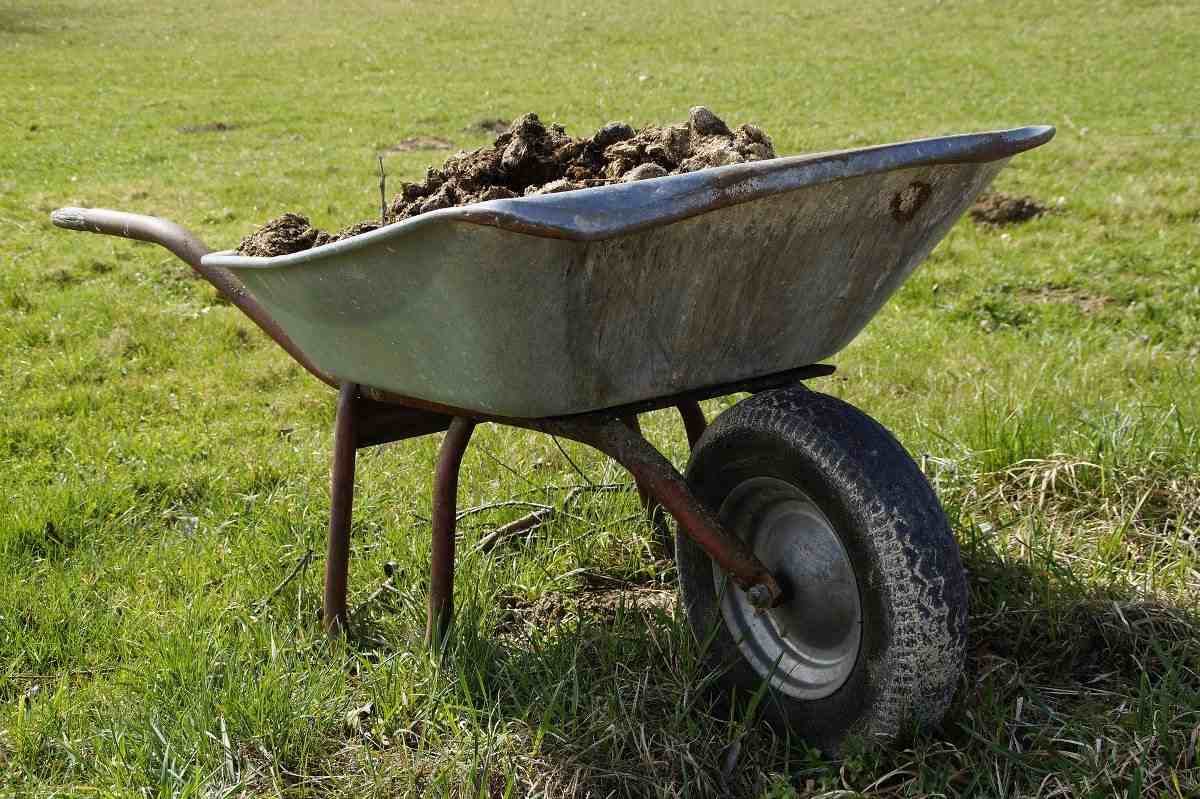A Guide to Manures for Flowers.