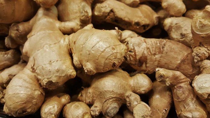 Growing Ginger from Roots in Pots A Full Guide Gardening Tips