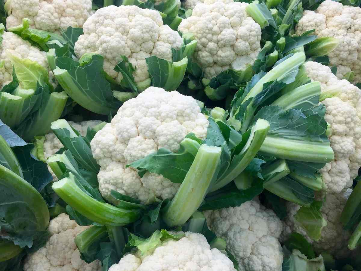 Cauliflower.