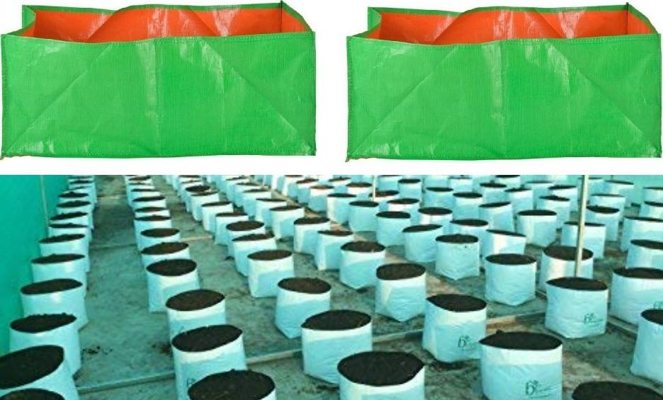 Growing Vegetables In Grow Bags At Home Gardening Tips