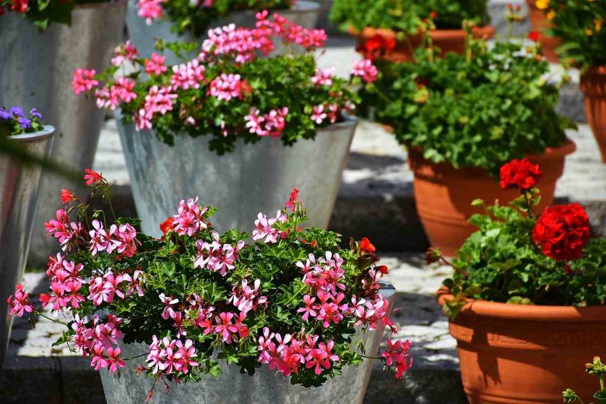 Cheap Container Gardening Ideas, DIY, Tips, Secrets Gardening Tips