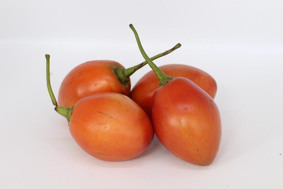 Tamarillo