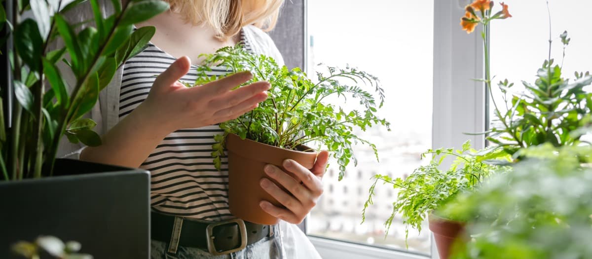 How to Build a Garden Room