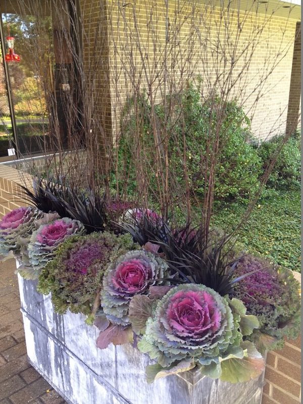 Fabulous Fall Container Ideas Gardening Viral