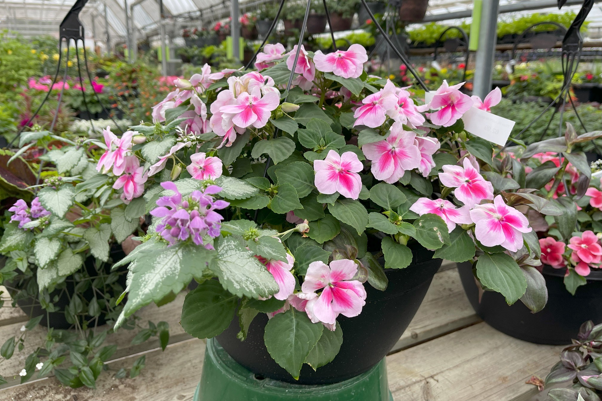 How to Keep Hanging Baskets & Flower Containers Thriving all Season