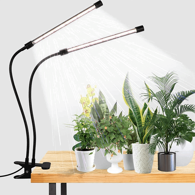 The Best Growing Lights For Your Indoor Plants Gardening WOW