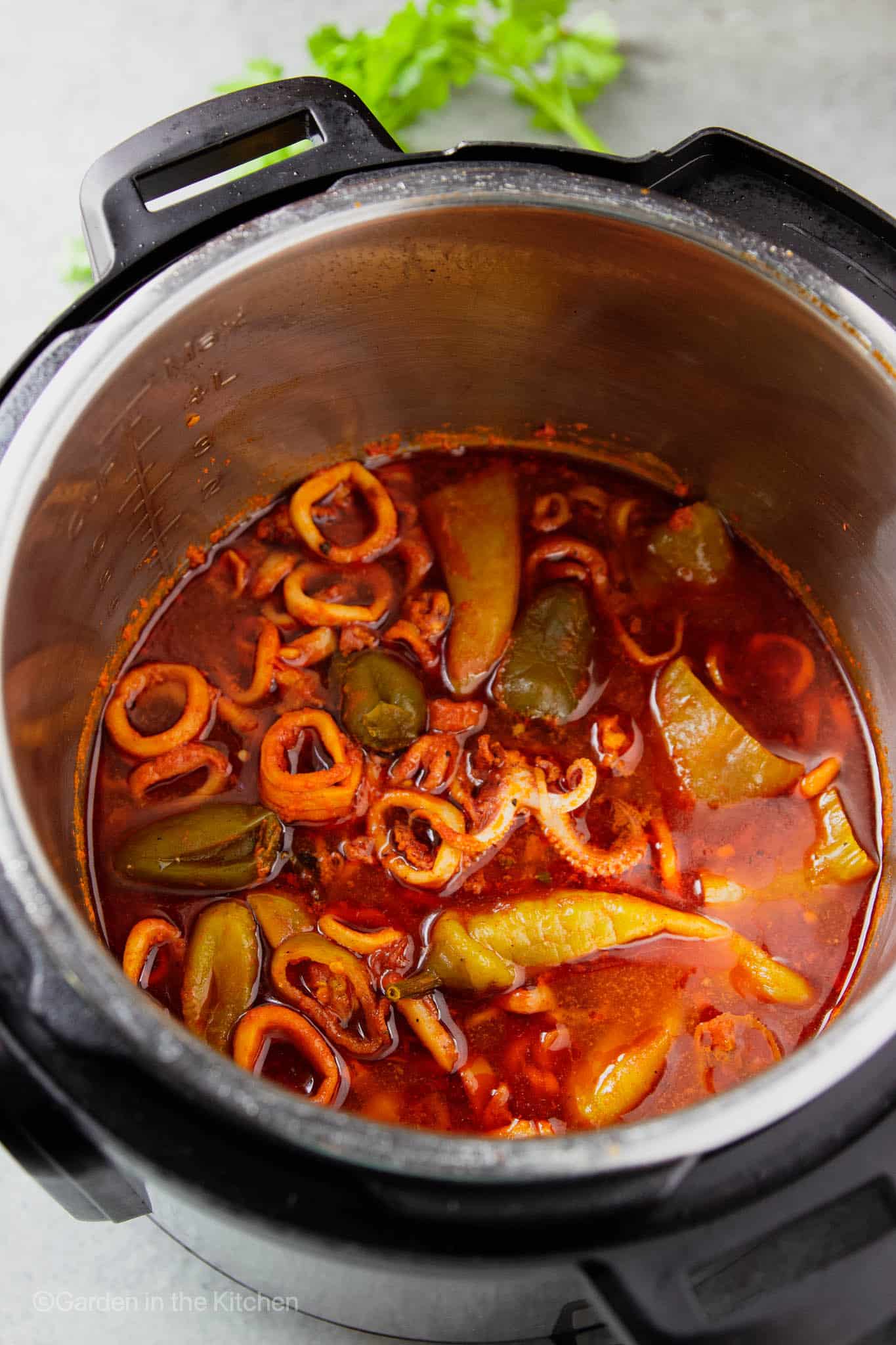 Instant Pot Calamari Stew | Garden In The Kitchen