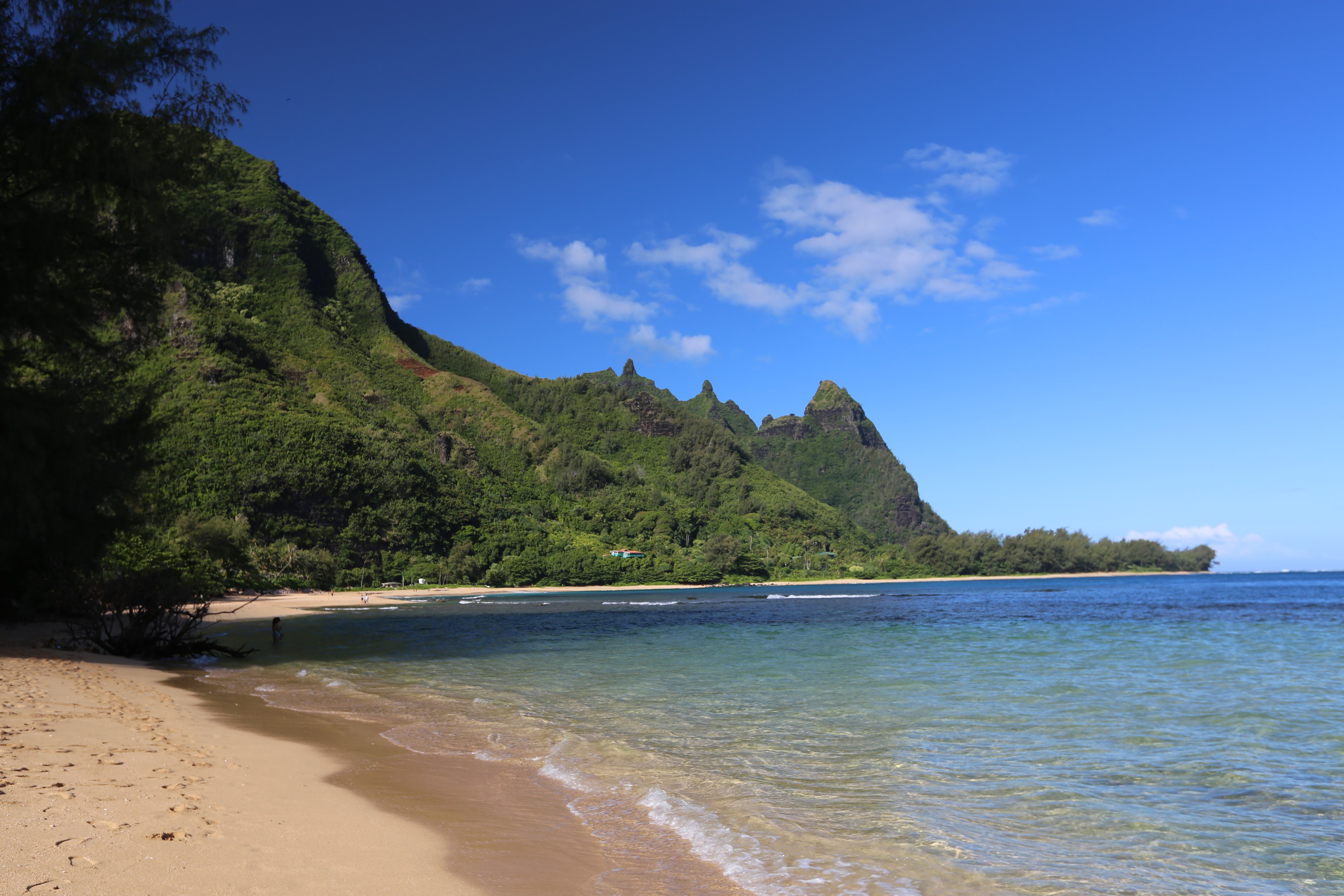 ハワイの長老カウアイ島 Garden Islander ガーデン・アイランダー