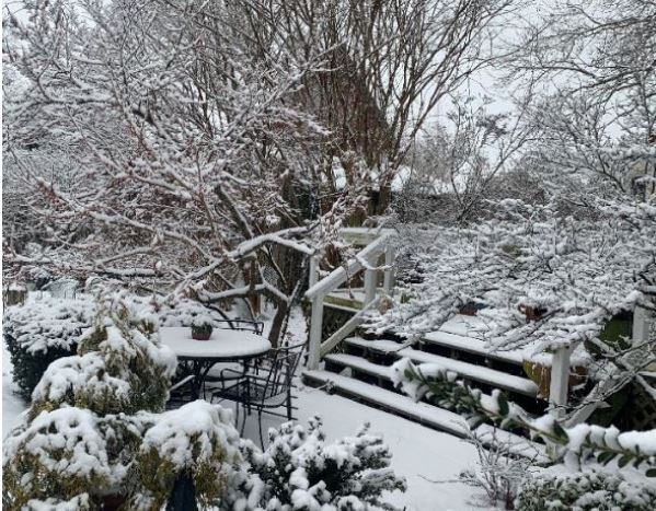 Winter garden - Gardenize