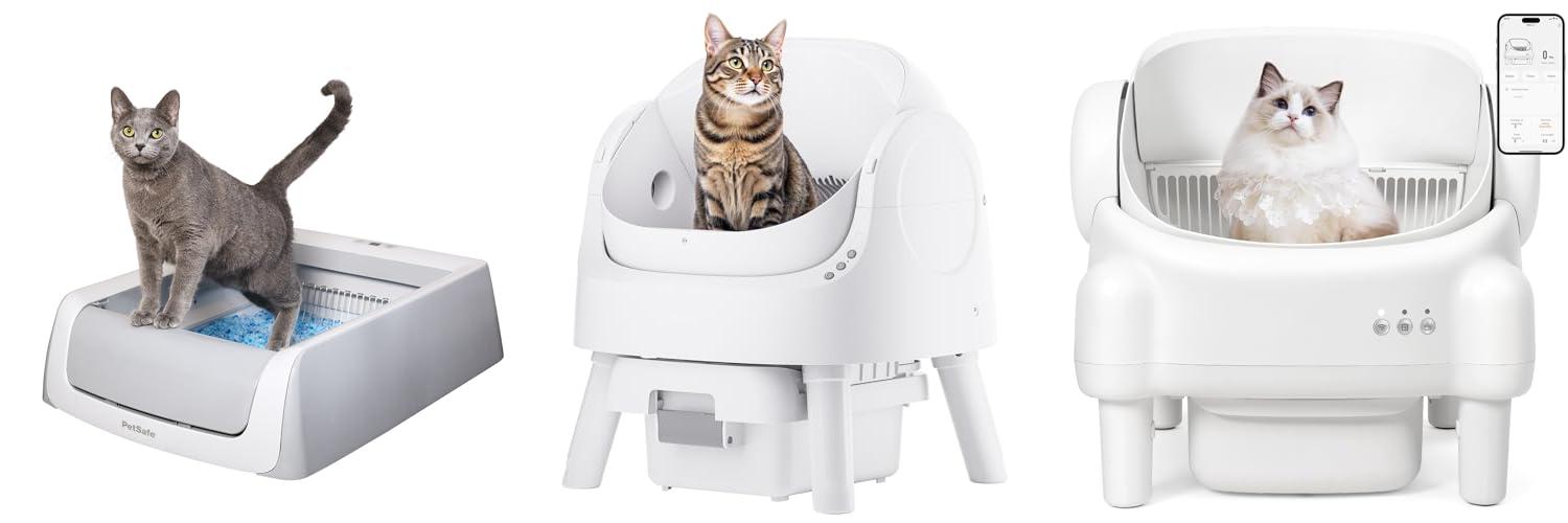 Top 5 Auto Litter Boxes For Senior Cats Your Guide