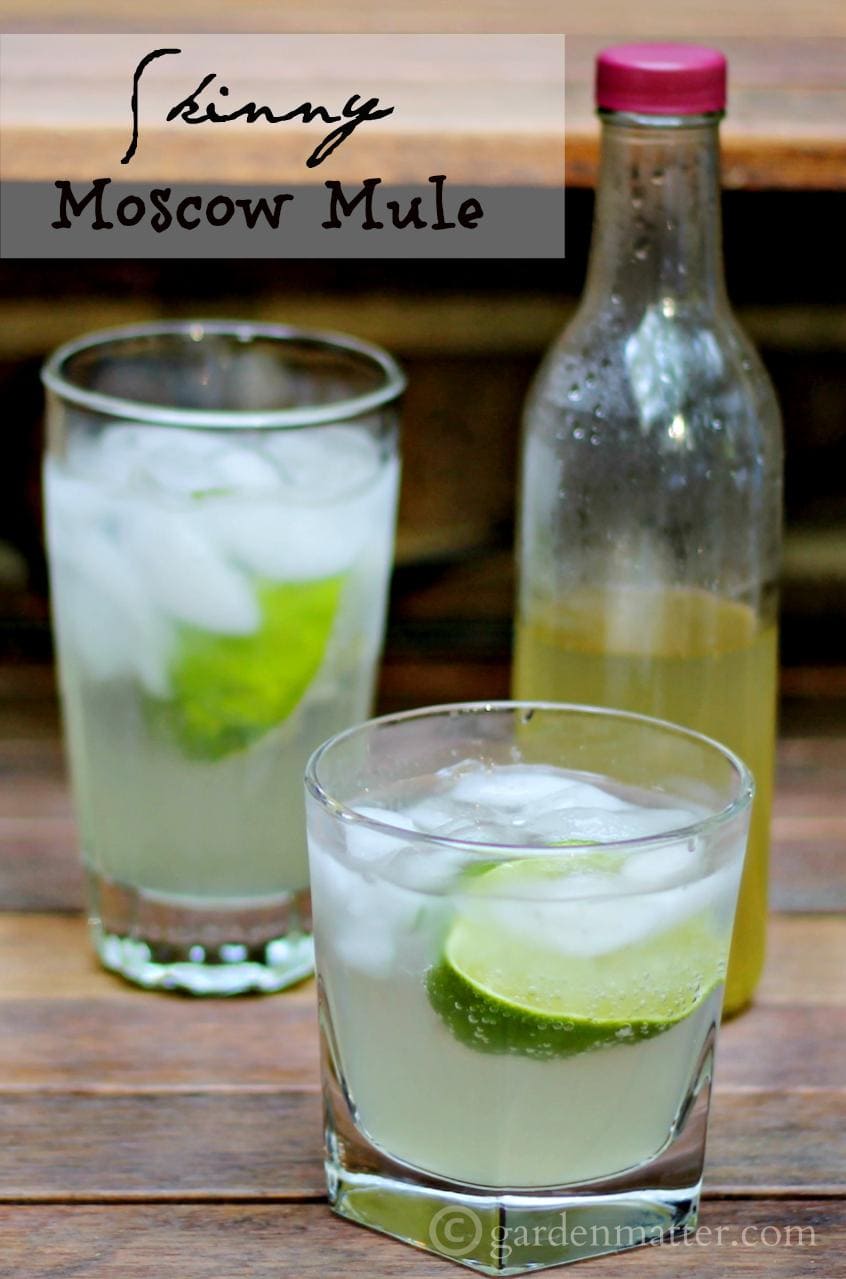 Skinny Moscow Mule A Light and Refreshing Cocktail