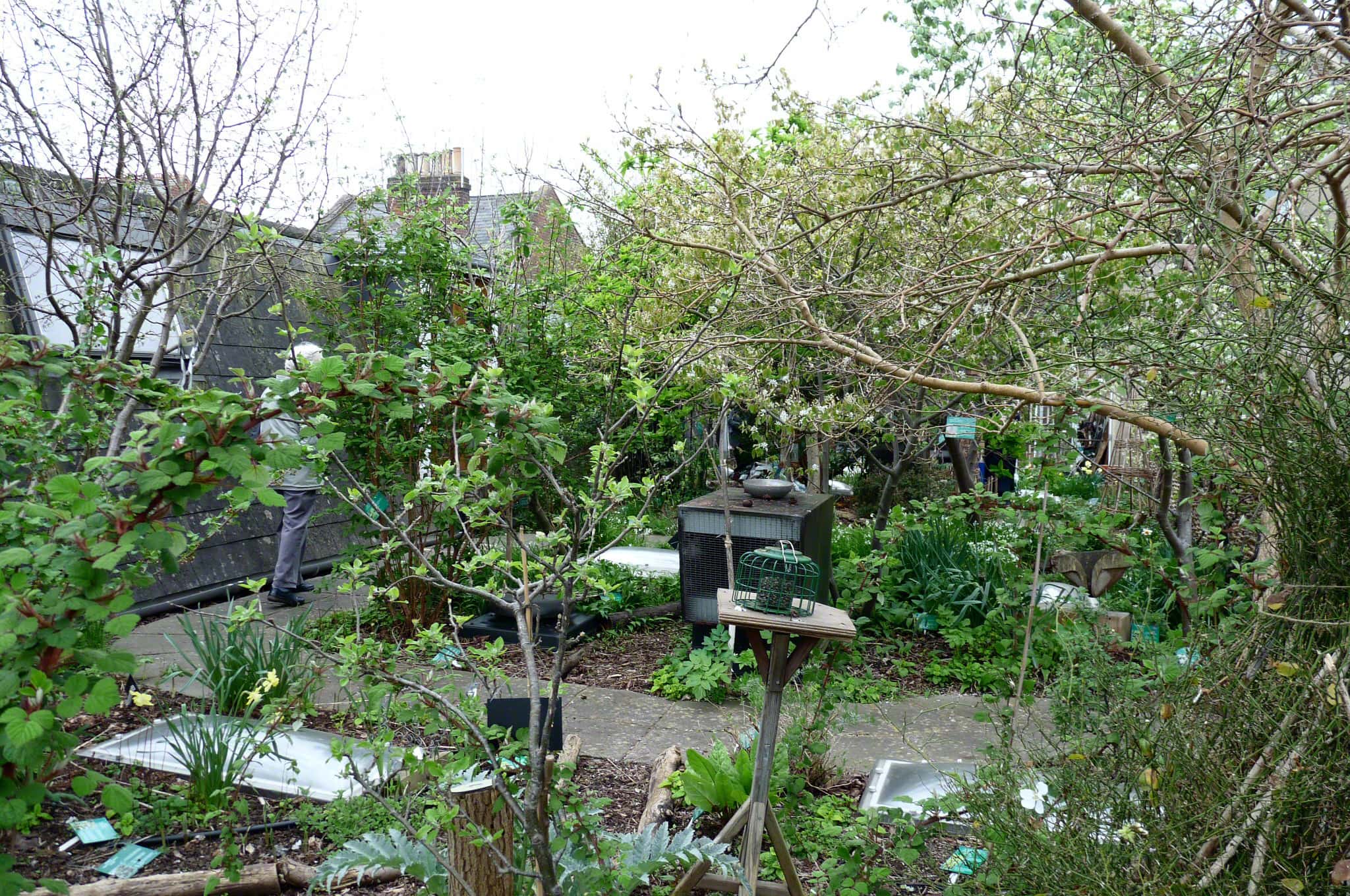 How to Plant a Rooftop Garden