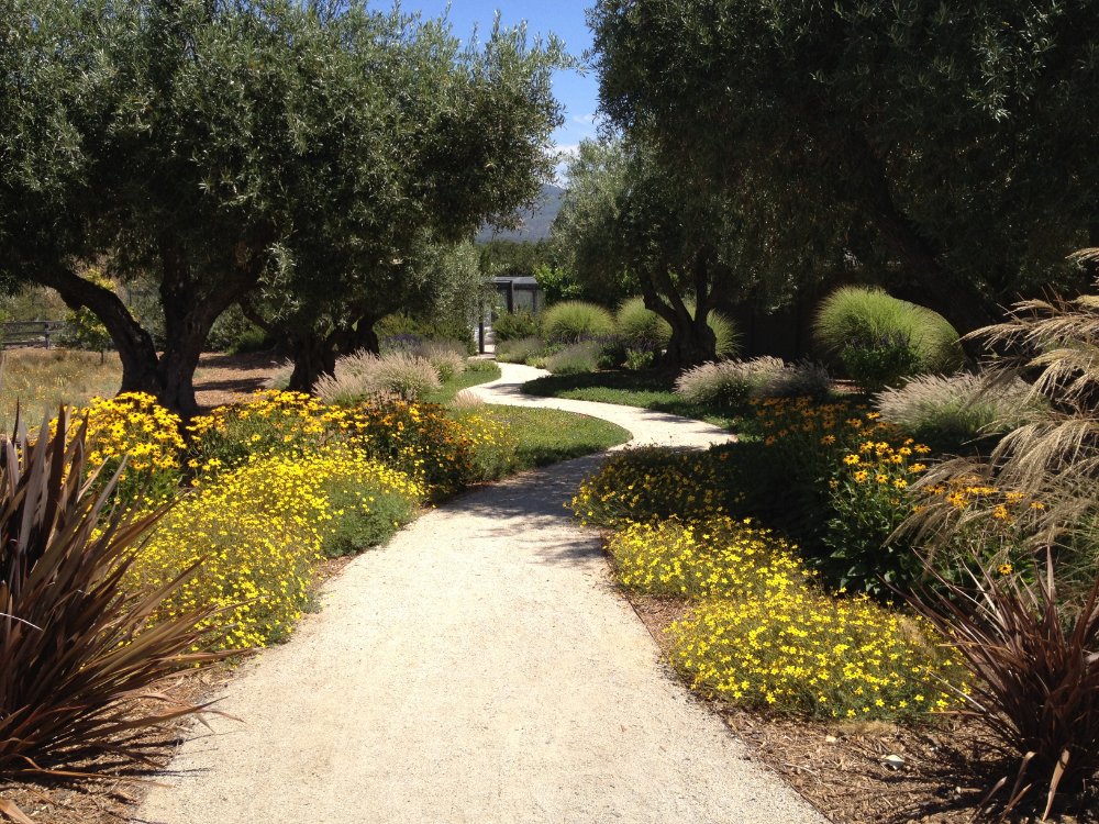 paths 13 tony immordino 2016 07 22t18 27 36 07 00