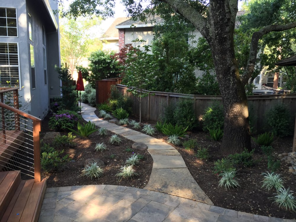 paths 24 tony immordino 2016 07 22t18 17 33 07 00