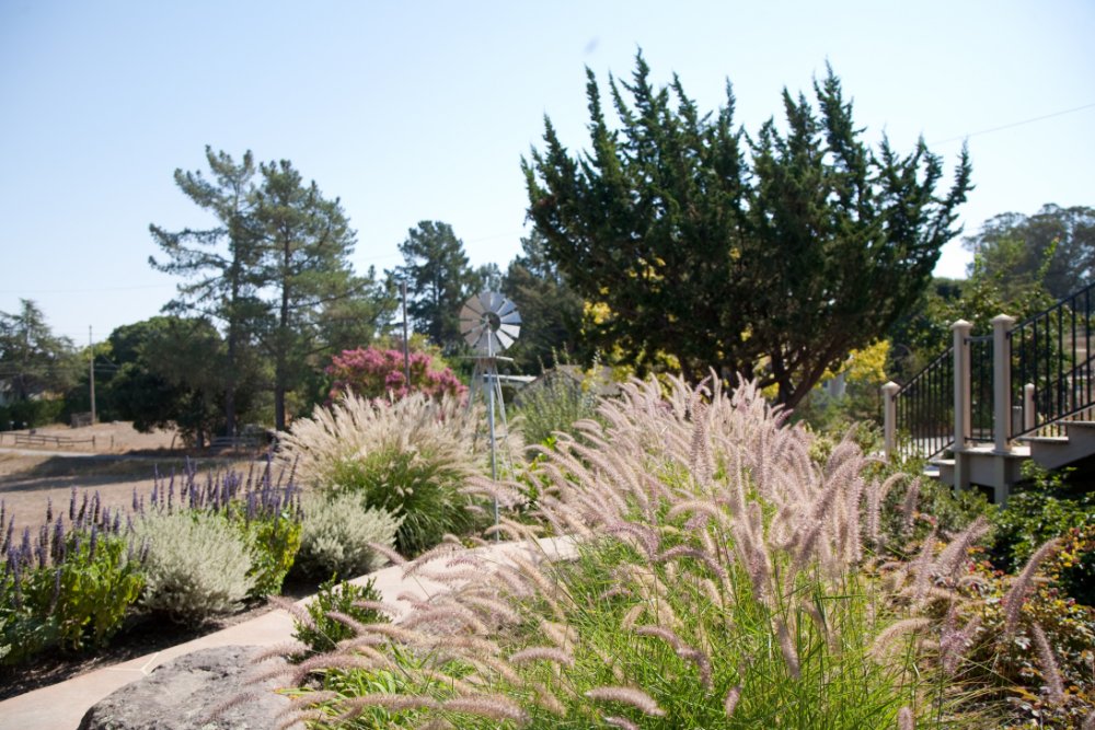 paths 7 tony immordino 2016 07 22t18 32 58 07 00