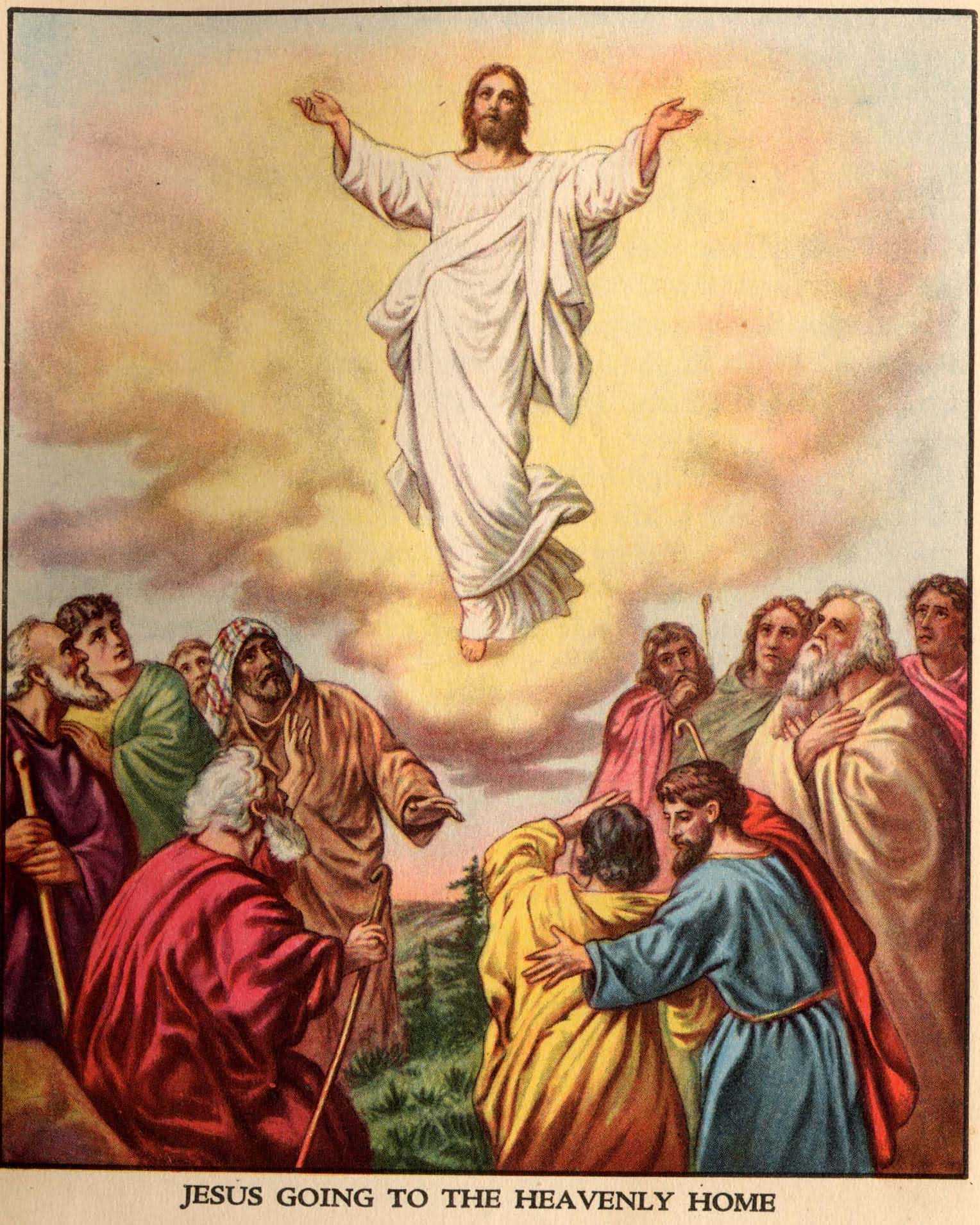 Garden of Praise The Ascension Bible Story