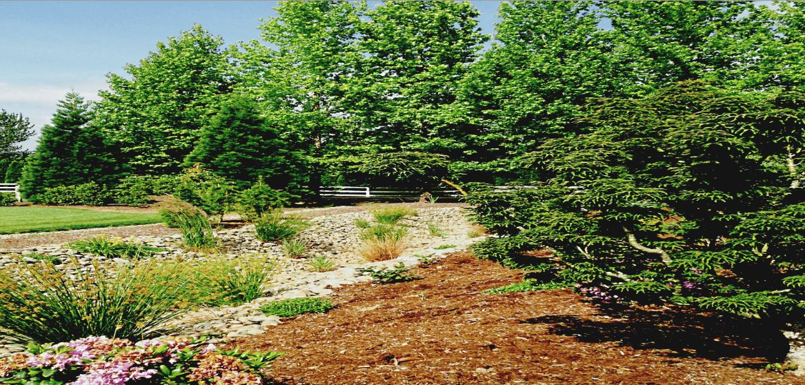 Garden Planning Services