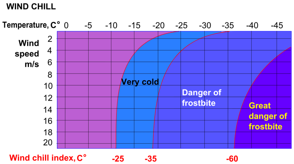 Does Wind Chill Affect Plants? The Garden Professors™