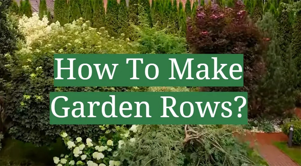 4 Steps To Make Garden Rows GardenProfy