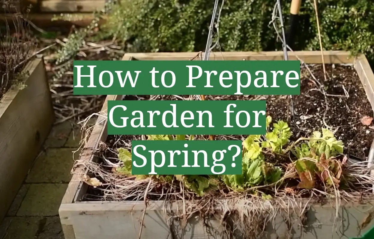 How to Prepare Garden for Spring? GardenProfy