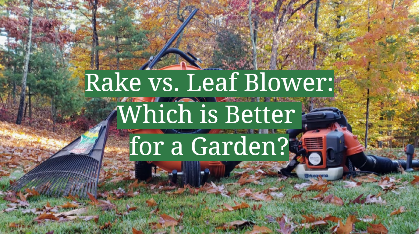 Rake vs. Leaf Blower Which is Better for a Garden? GardenProfy