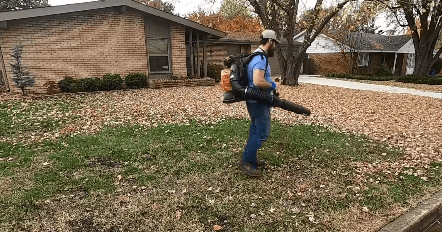 Rake vs. Leaf Blower Which is Better for a Garden? GardenProfy