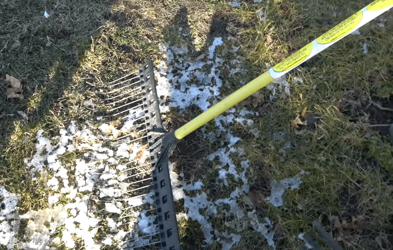 Rake vs. Leaf Blower Which is Better for a Garden? GardenProfy