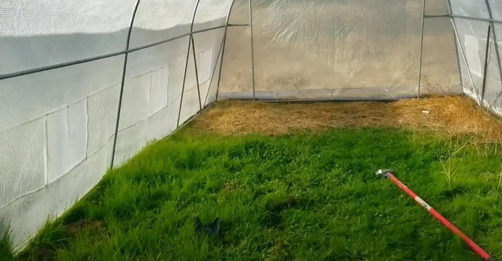 How to Keep Gophers Out of the Garden? GardenProfy