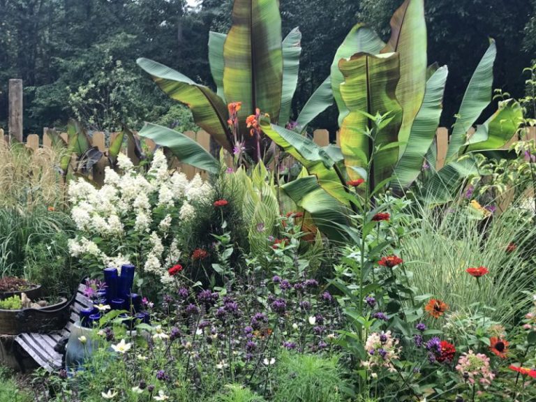 Gardening with Your Hands Tied HOA Regulations vs. The Inspired