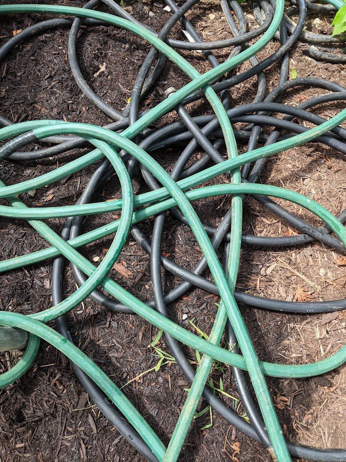 Getting Hosed in the August Garden; Another Letter from the Midwest