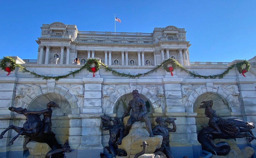 Best Christmas Trees in DC, Illustrated GardenRant