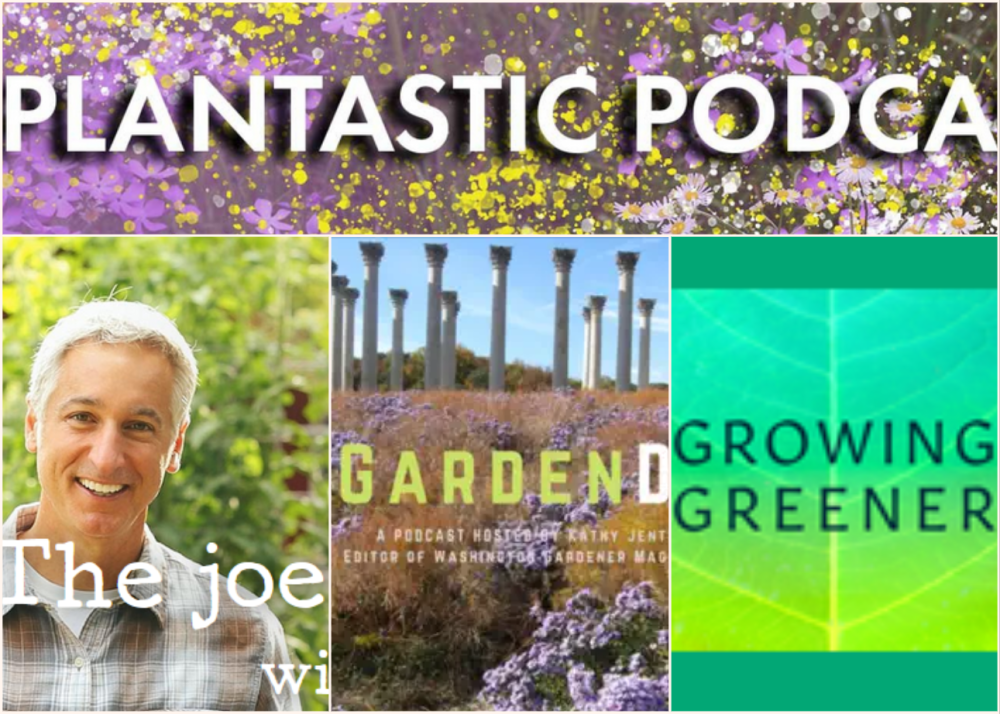 TruthTelling and Unusually Interesting People on Garden Podcasts