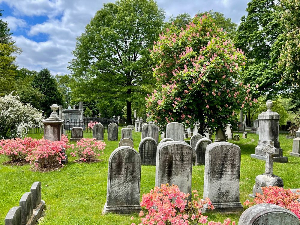 Bury me in Nature's Sanctuary at Laurel Hill Cemetery My Ideal Green