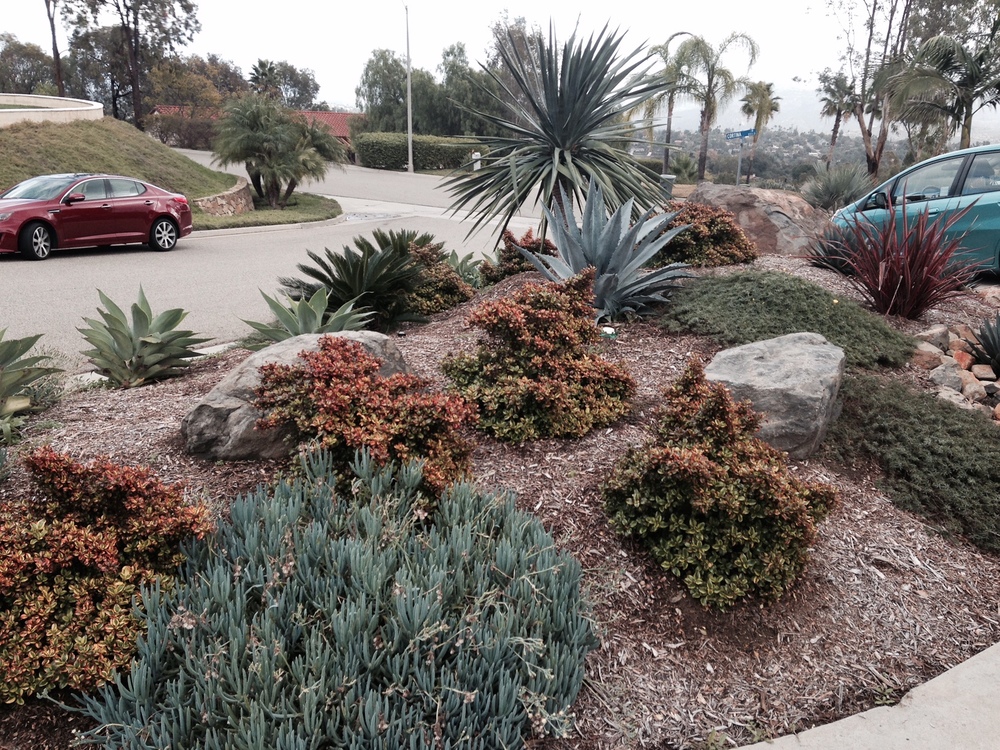 Escondido Residential Slopes Garden Rhythms