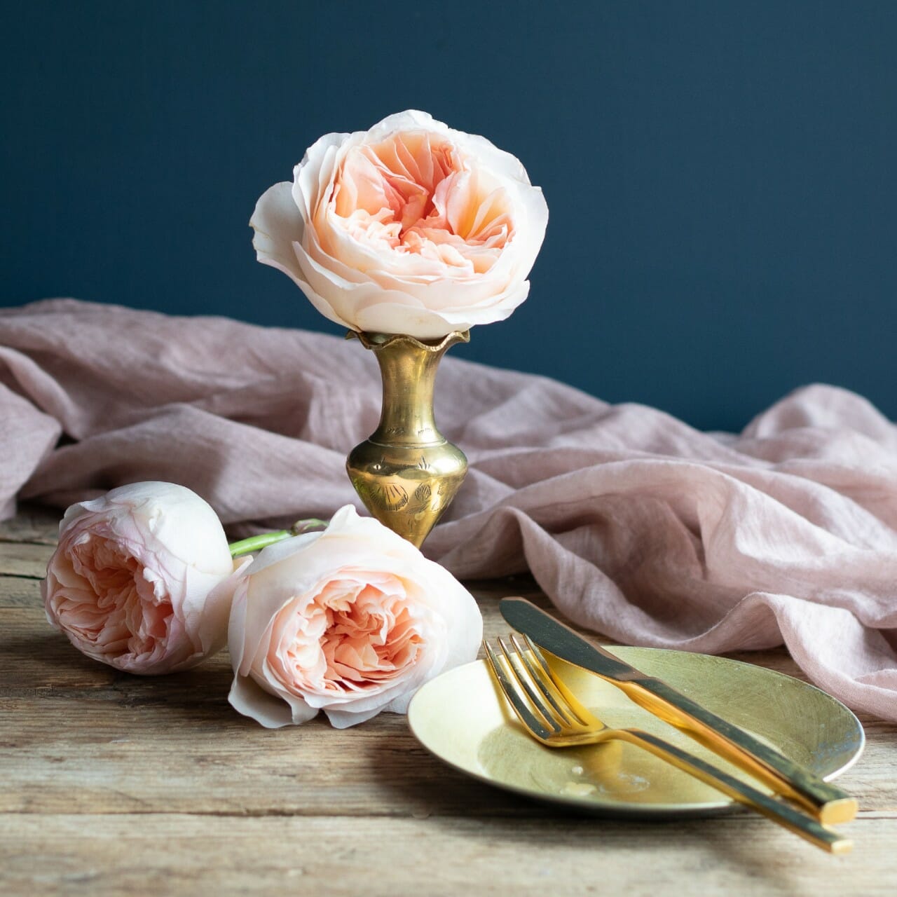 David Austin Juliet Roses Garden Roses Direct