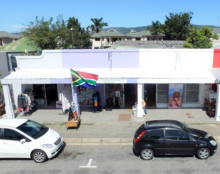 Commercial Property Section 1 In Knysna With A Monthly Return Garden