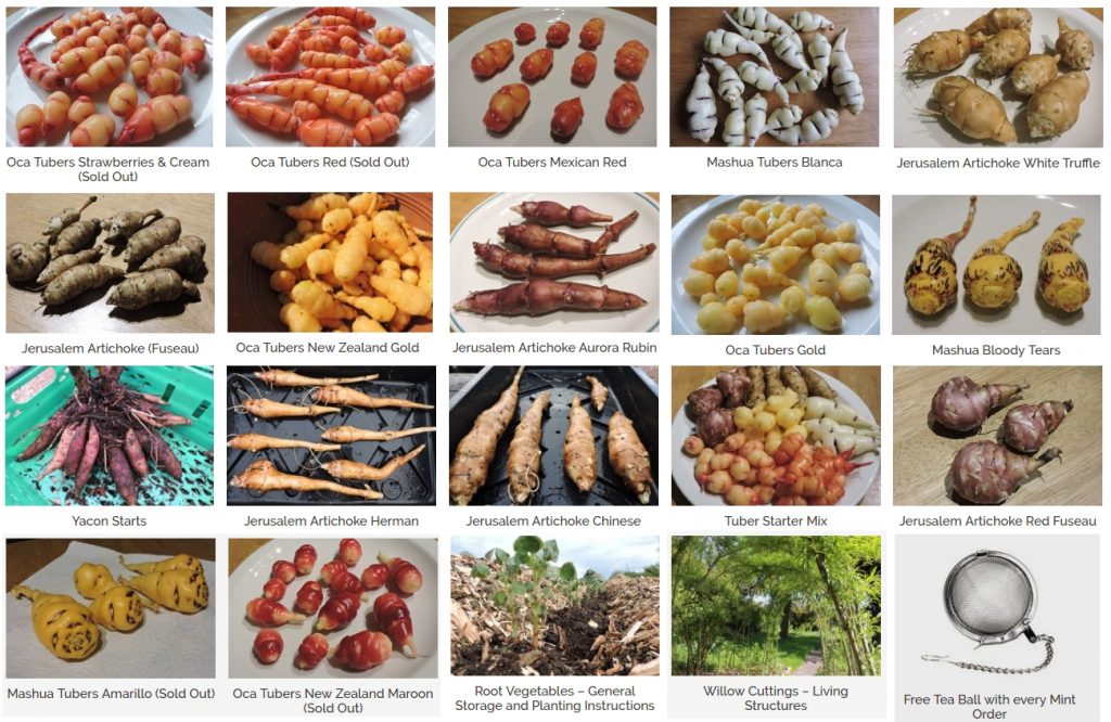 Tubers, Mycelium & Cuttings General Storage and Planting Instructions Gardens for Life