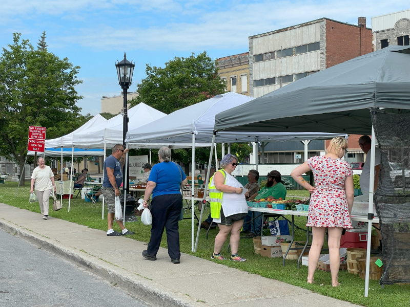 Gouverneur Farmers Market GardenShare