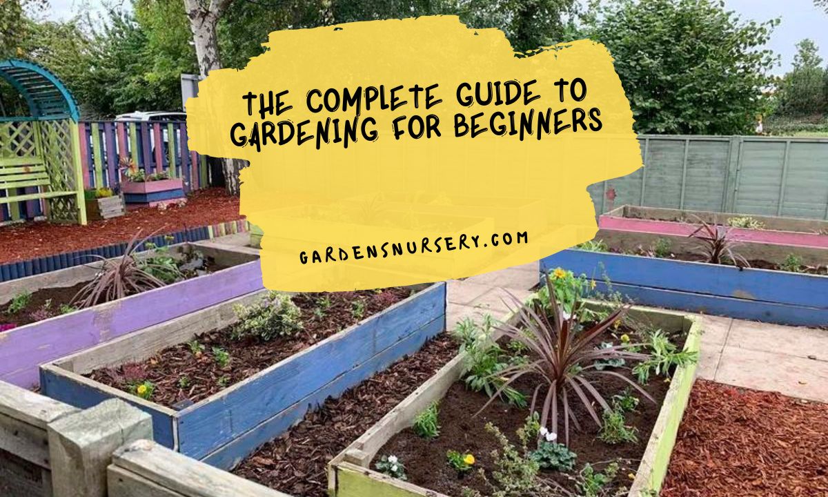 The Complete Guide To Gardening For Beginners GARDENS NURSERY