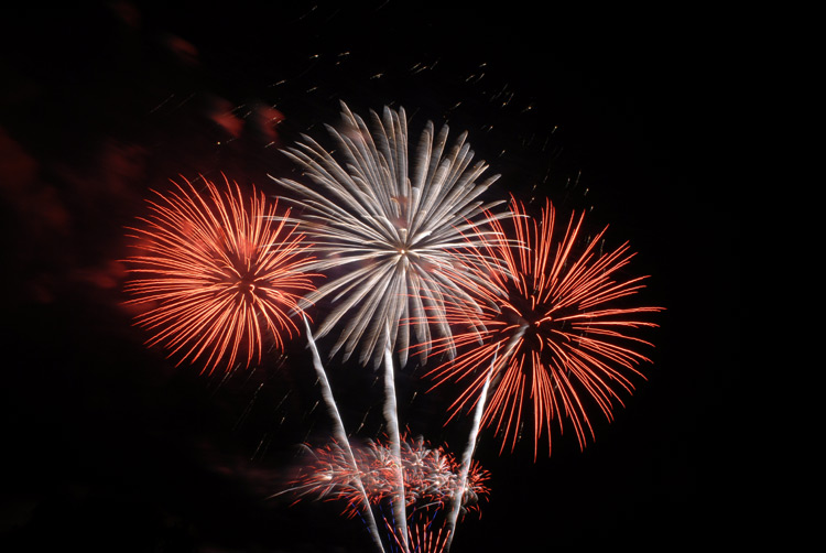 Garden State Fireworks Millington Nj GARNED